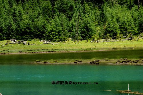 荷花海国家森林公园