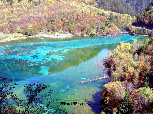 海螺沟
