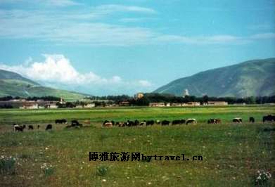 达通玛大草原