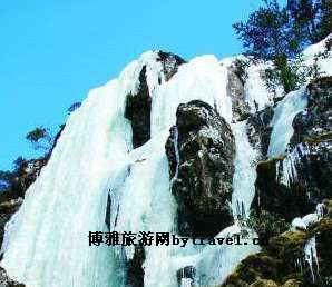 转龙奇泉