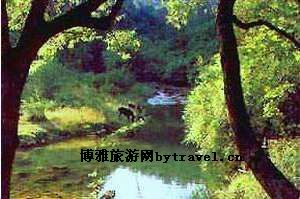 野花沟
