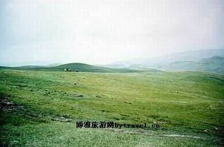 奎香雨龙山