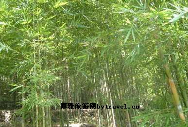 中城镇风景