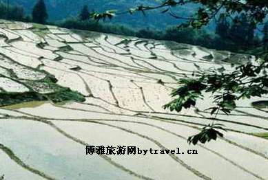春夏秋冬细沙游