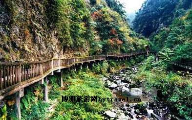 茶马古道遗址