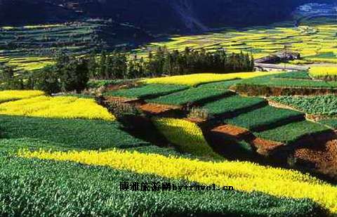 哀牢山风景区