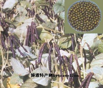 透心绿豆
