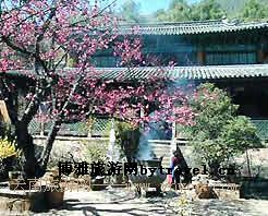 玉峰寺