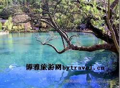 丽江黑龙潭公园