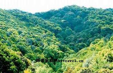 大中山自然保护区