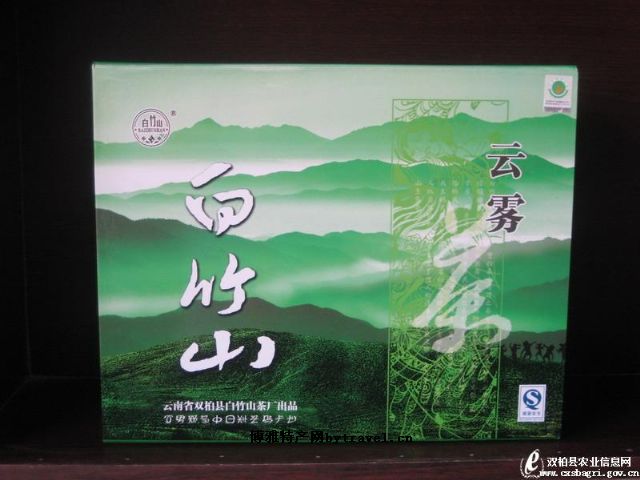 滇撒猪