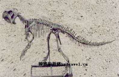 恐龙化石遗址