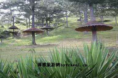楚雄情人谷