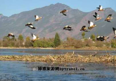 草海湿地