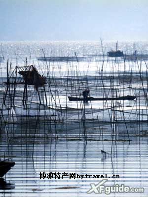 洱海