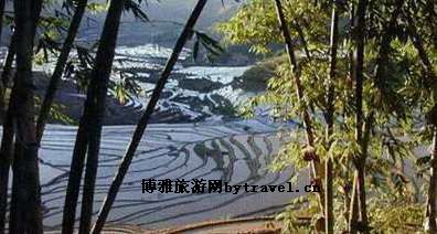 腊姑、桐株德玛梯田景区