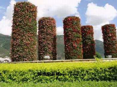 西隆山自然保护区