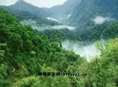 黄连山原始森林景区