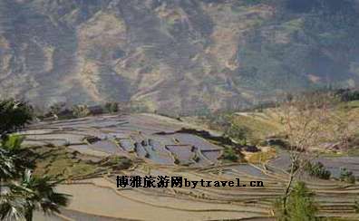 哈尼梯田