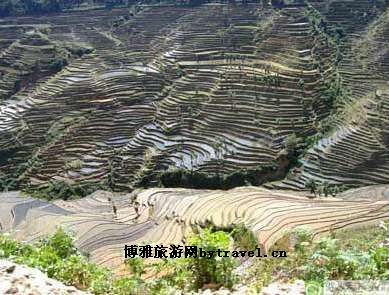 阿姆山省级自然保护区