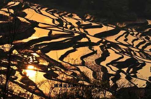 龙树坝