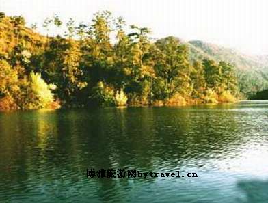 灵芝湖森林公园
