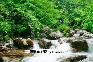 老君山自然保护区