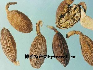 草果