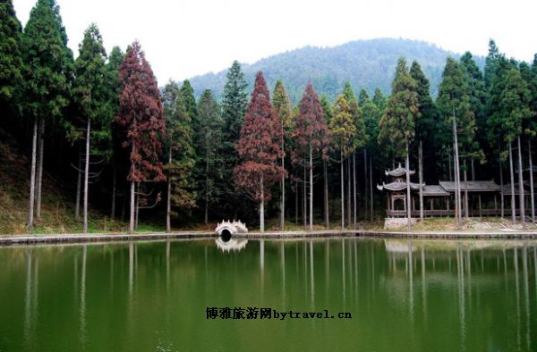 关山森林公园