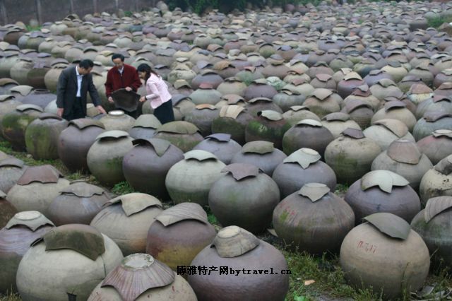 三红苹果