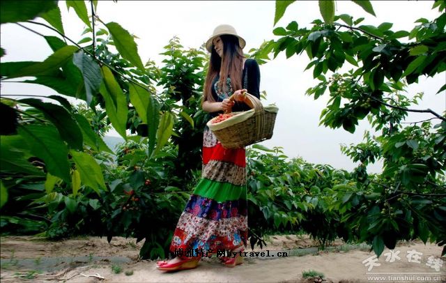 ���ݴ�ӣ��