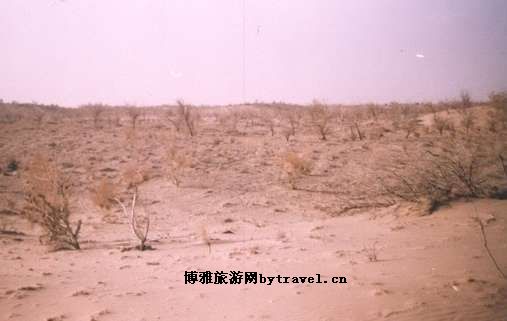 沙井柳湖墩遗址