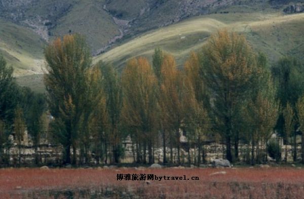 干海子自然保护区