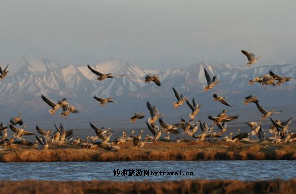 盐池湾自然保护区