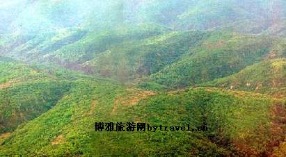 子午岭
