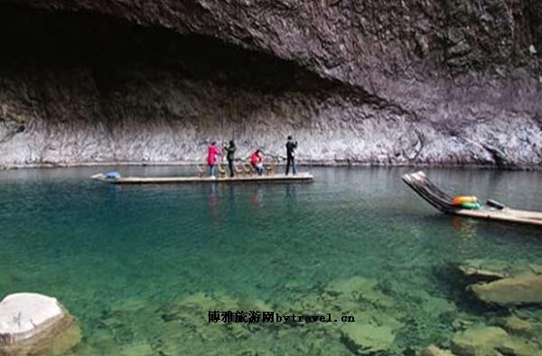 沪齿馍