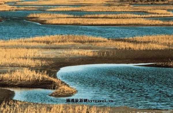 黄河首曲