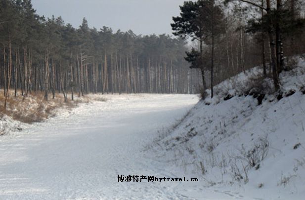 玉泉滑雪场