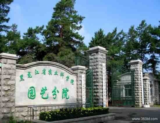 黑龙江省农科院园艺分院
