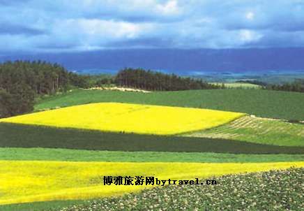 五岭峰生态旅游度假区