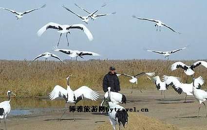 扎龙湖风景区