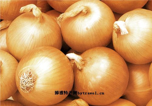梅里斯洋葱