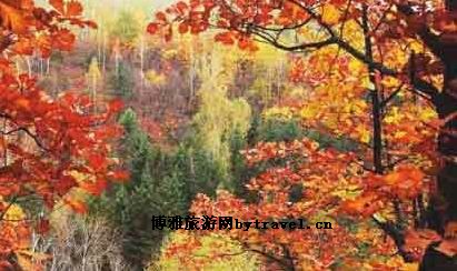 鹤岗国家森林公园