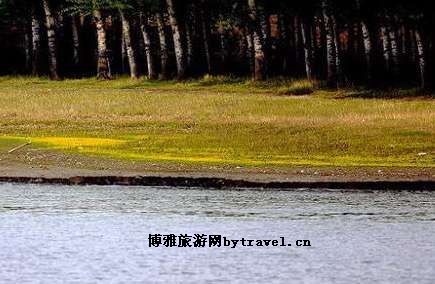 青马湖