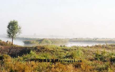 肇州湿地