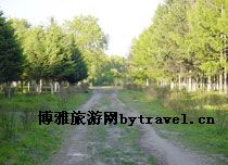 世界石油文化公园