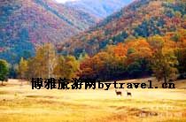 凉水自然保护区