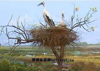 三江平原湿地宣教馆