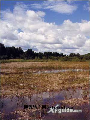 大黑河岛