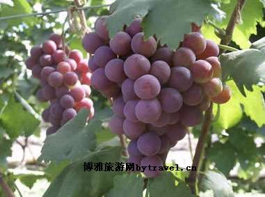 手撕饼